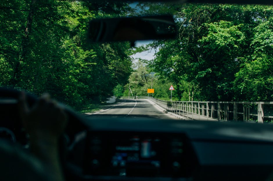 WordPress ve Joomla için staging ortamı gösteren ekran görüntüsü