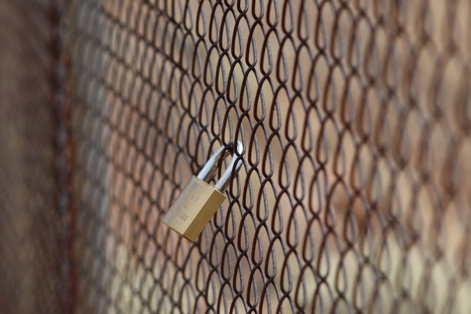 SSL sertifikası ve kilit simgesi yakın çekimi