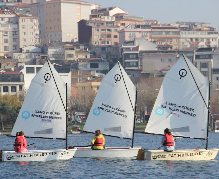 Sunucu Panelleriyle Çok Dilli Hosting: WordPress ve Joomla İçin Yönetim Rehberi