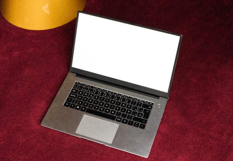 Sunucu Panelleriyle Otomatik SSL ve DNS Yönetimi: Rehber