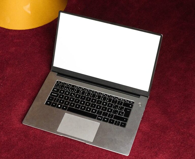 Sunucu Panelleriyle Otomatik SSL ve DNS Yönetimi: Rehber