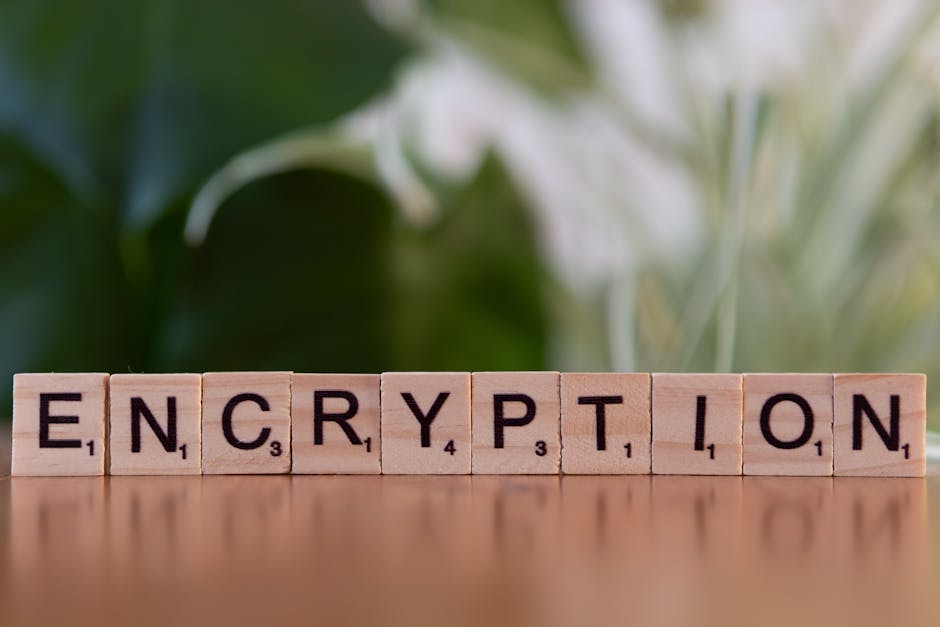 TLS/SSL sertifikası kavramını gösteren görsel