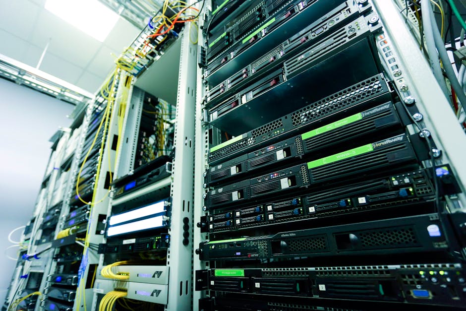 WordPress hosting yönetim arayüzünün görsel temsili