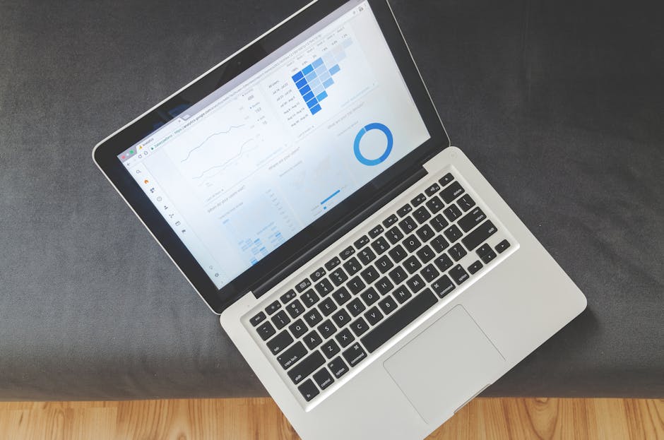WordPress hosting paneli ve otomatik domain yönetimi görseli