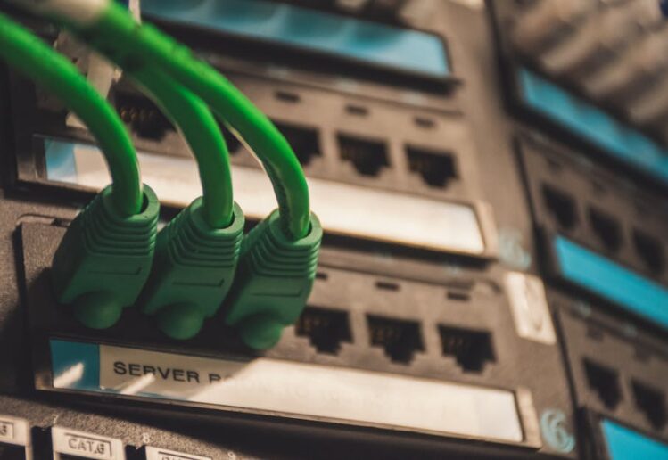 Yeşil Web Hosting İçin 7 Adımlık Uygulamalı Rehber
