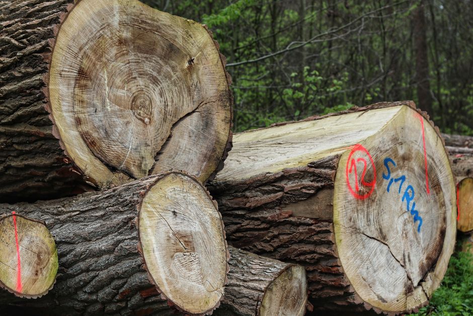 Log yönetimini temsil eden entegre log akışı görseli