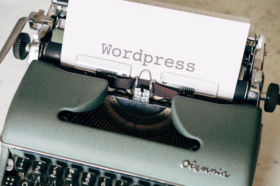 WordPress otomatik güncelleme yönetimi için panel görünümü ve kontrol paneli